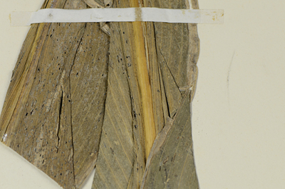 Detalle 3